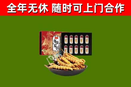 修文烟酒回收冬虫夏草礼盒.jpg