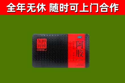 修文回收阿胶