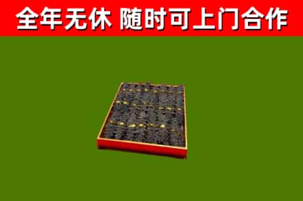 修文回收海参